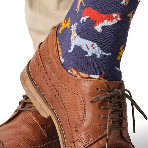 colourful dog-patterned socks