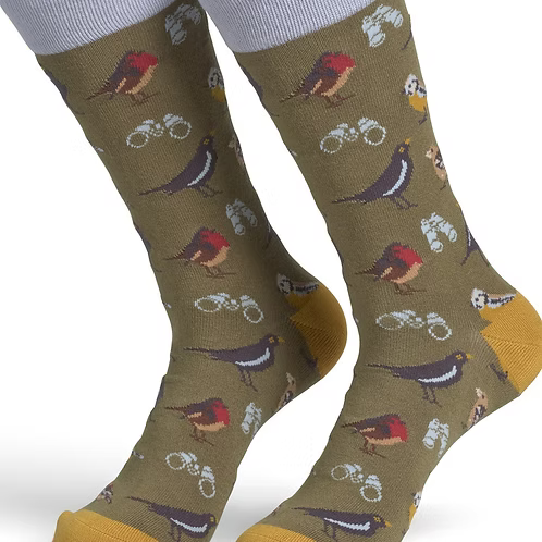 Bamboo bird watch socks