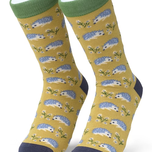 Pair of bamboo socks with hedgehog pattern