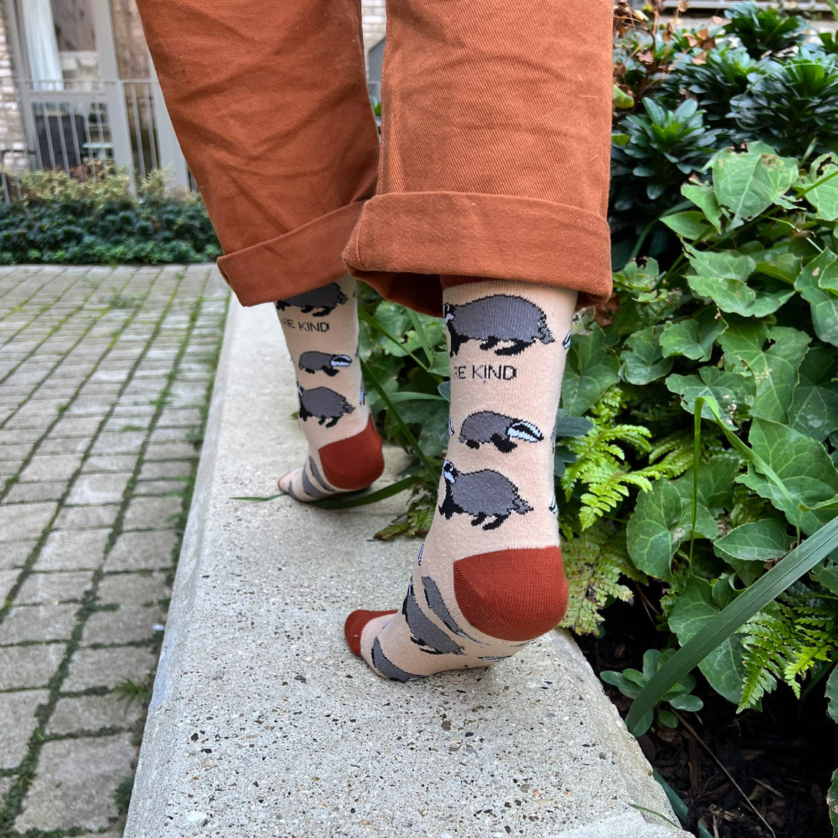 Save the Badgers Bamboo Socks by Bare Kind