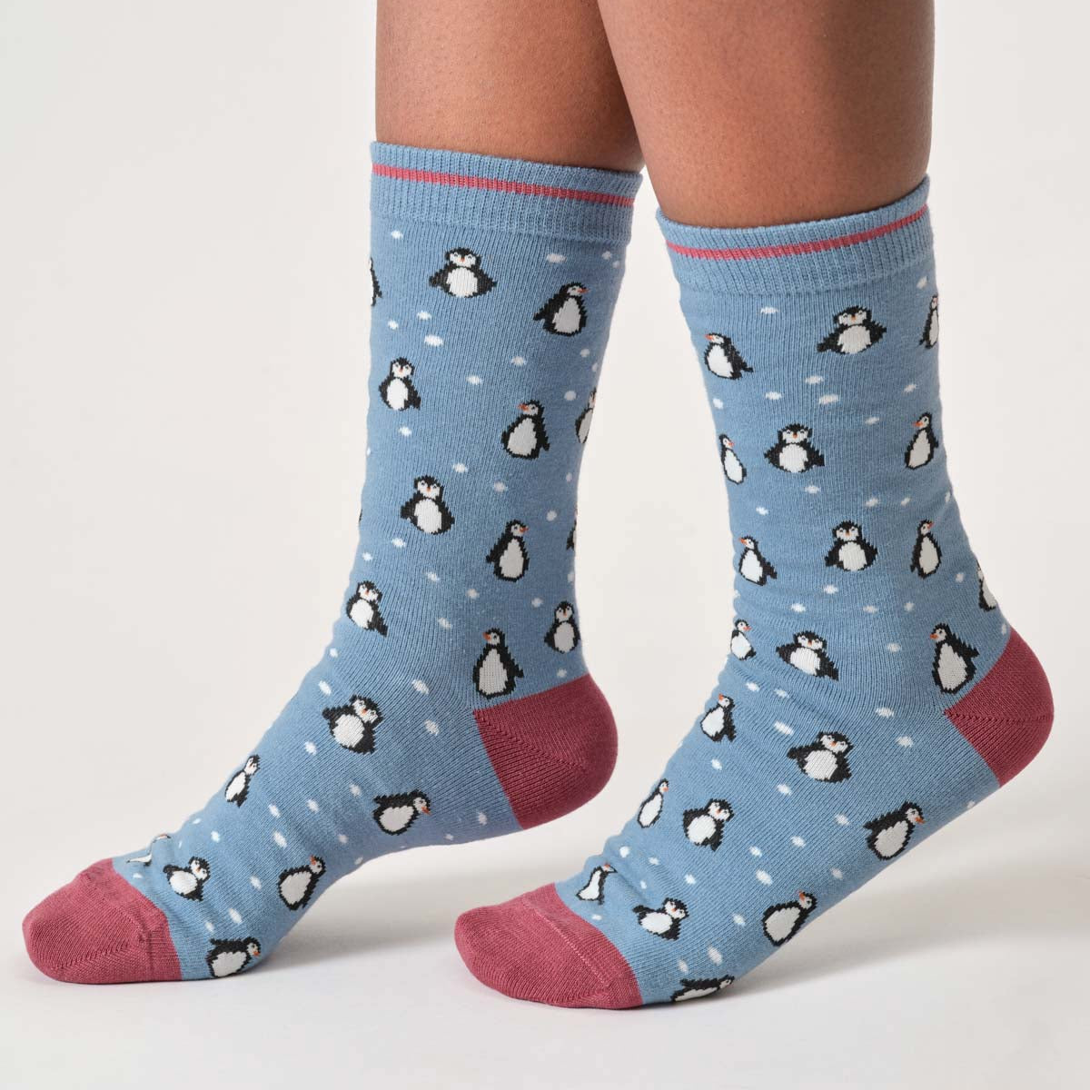 Snowy Penguin Bamboo Socks in Stone Blue by Thought