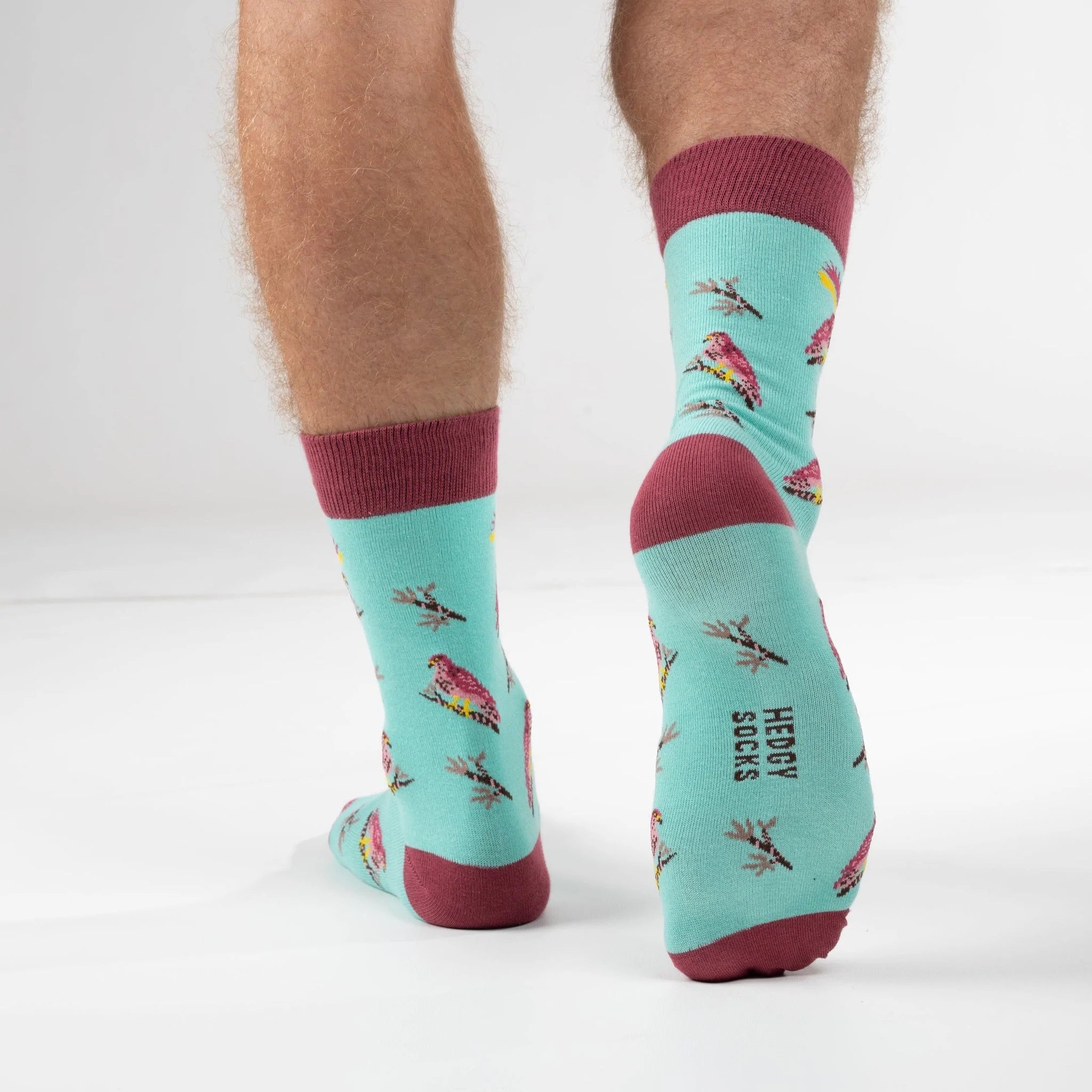 Super soft premium quality bamboo socks with Sparrowhawk print with maroon features and a turquoise background.
