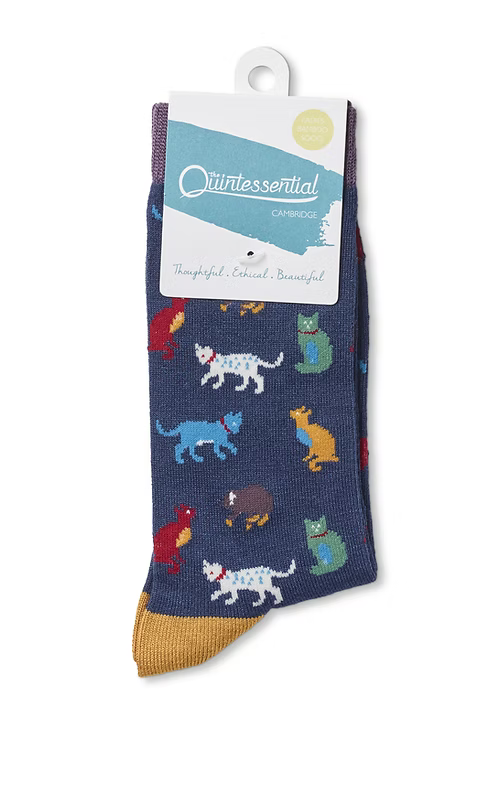 socks with colourful cat design