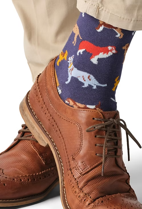 colourful dog-patterned socks