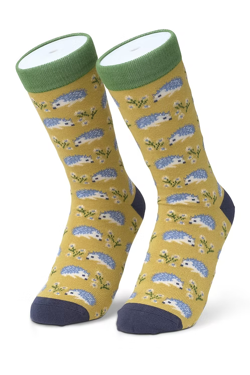Pair of bamboo socks with hedgehog pattern