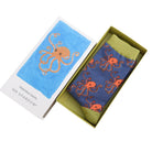 octopus theme bamboo socks in a matchbox style gift box