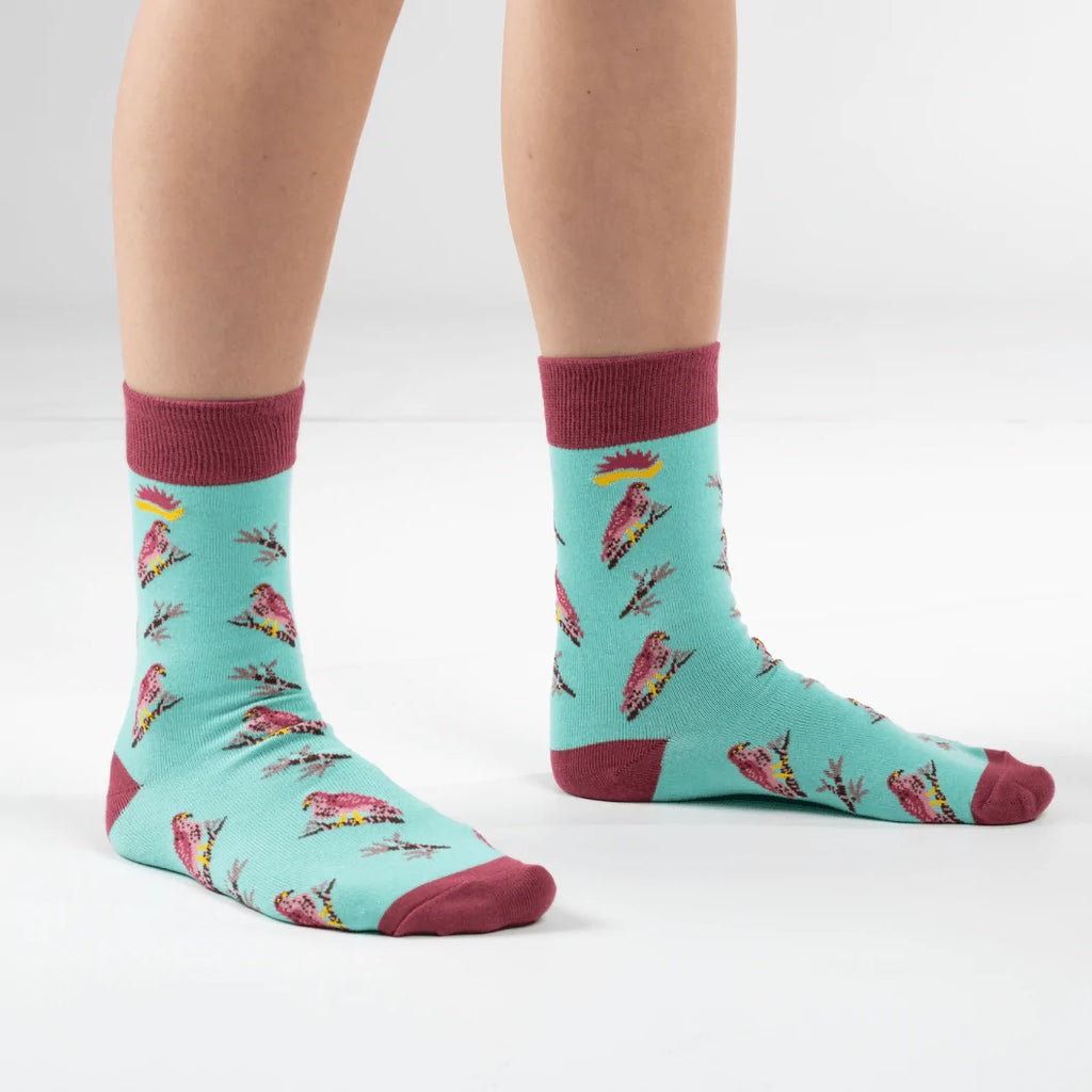 Super soft premium quality bamboo socks with Sparrowhawk print with maroon features and a turquoise background.