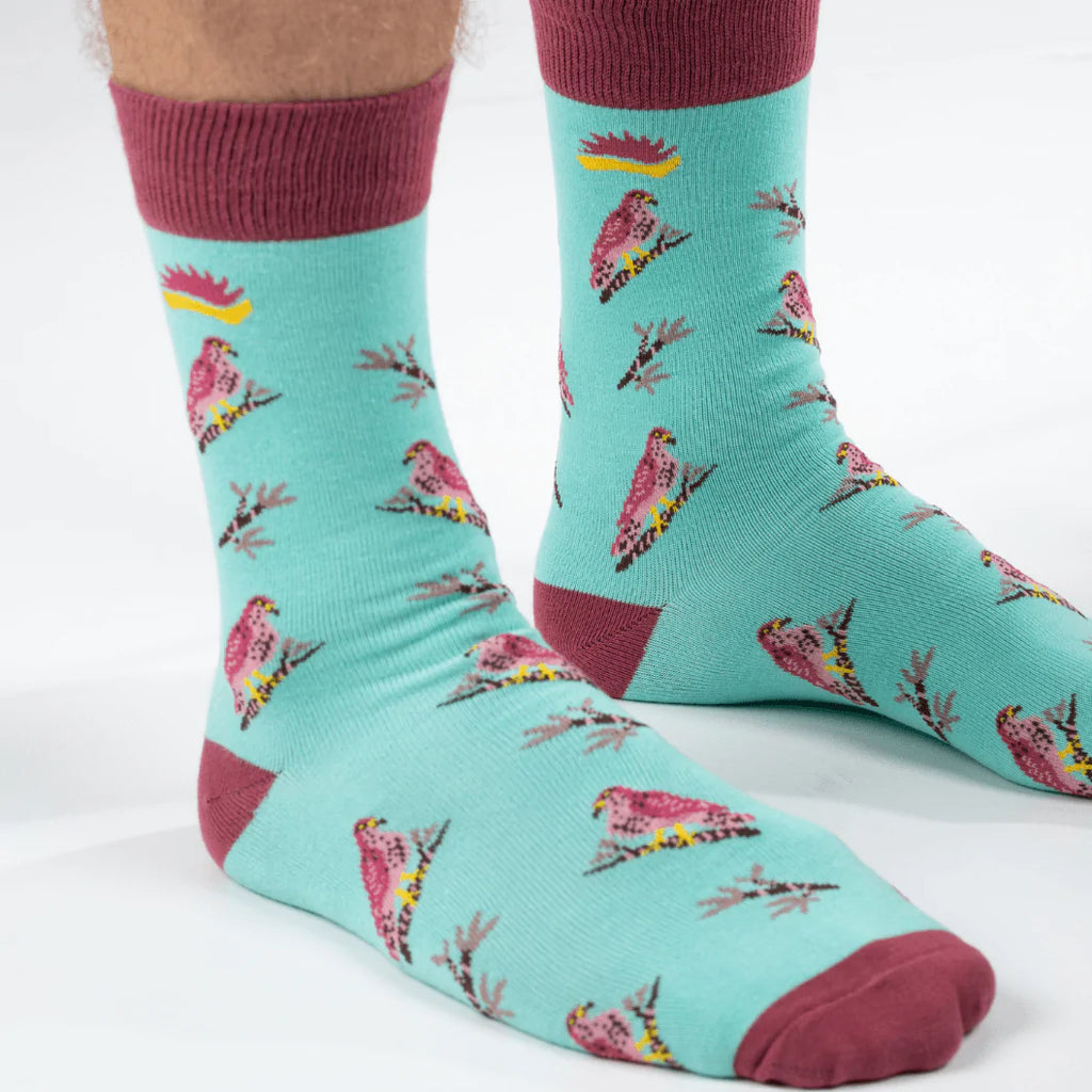 Super soft premium quality bamboo socks with Sparrowhawk print with maroon features and a turquoise background.