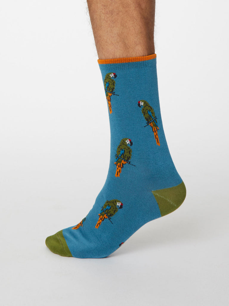 Pappagallo Bamboo Parrot Socks in Dusty Blue by Thought, Size 7-11-bamboofeet
