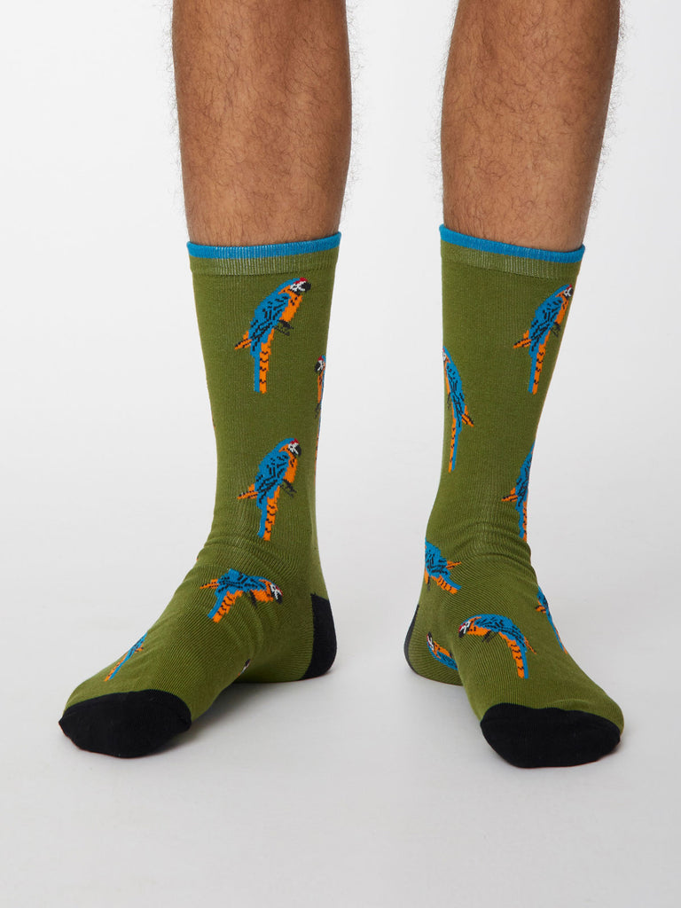 Pappagallo Bamboo Parrot Socks in Olive Green by Thought, Size 7-11-bamboofeet